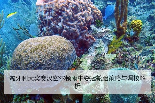 匈牙利大奖赛汉密尔顿雨中夺冠轮胎策略与调校解析